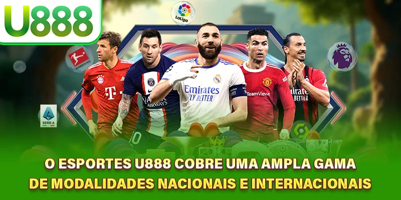 Acesso a operadoras licenciadas com odds transparentes e serviços otimizados